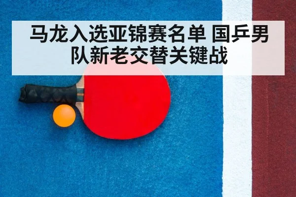 ping pong racket
